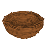 Empty Nest