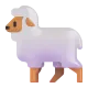 Sheep Color