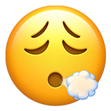 Apple Emoji iOS 14.5.