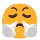 Face with Look of Triumph Flat