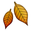 Apple Emoji iOS 5.0.
