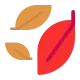 Fallen Leaf Flat