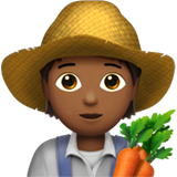 Apple Emoji iOS 14.2.