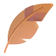 Feather Color