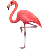 Apple Emoji iOS 16.4.