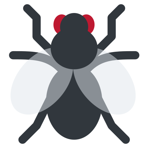 Fly