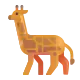 Giraffe Face Color