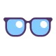 Eyeglasses Flat