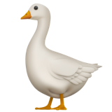 Apple Emoji iOS 16.4.