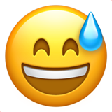 Apple Emoji iOS 16.4.