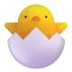 Hatching Chick Color