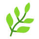 Herb Flat