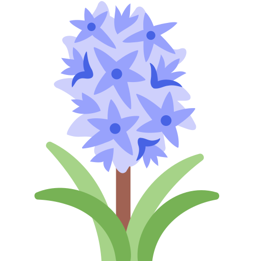 Hyacinth