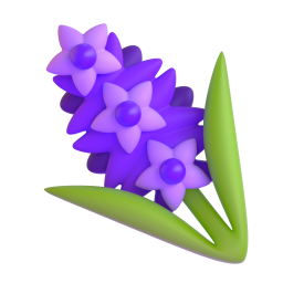 Hyacinth 3D