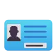 Identification Card Color