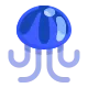 Jellyfish Flat