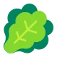 Leafy Green Flat