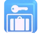 Left Luggage Color