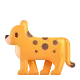 Leopard Color