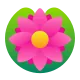Lotus Color