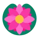 Lotus Flat