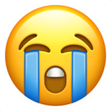Apple Emoji iOS 13.3.