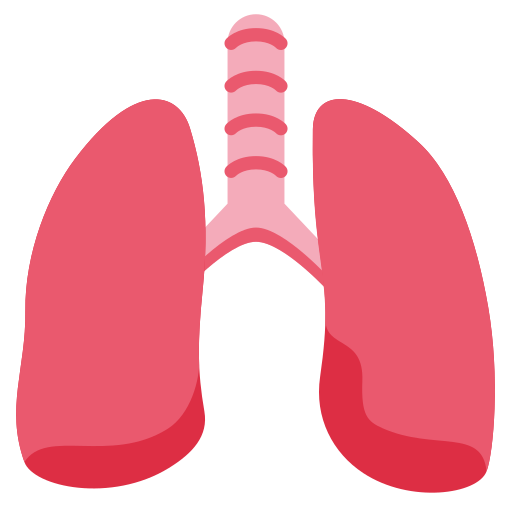 Lungs Discord Emoji