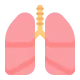 Lungs Flat