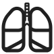 Lungs High Contrast
