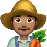 Apple Emoji iOS 14.2.