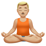 Apple Emoji iOS 11.1.