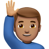 Apple Emoji iOS 14.2.