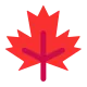 Maple Leaf Flat
