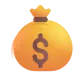 Money Bag Color