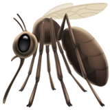 Mosquito