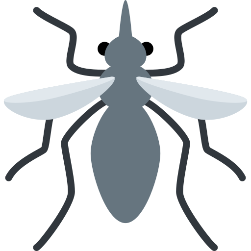 Mosquito