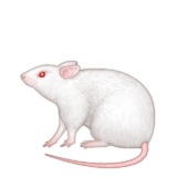 Apple Emoji iOS 10.0.