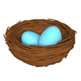 Nest with Eggs