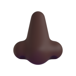 nose: dark skin tone 3D