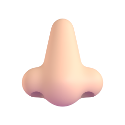 nose: medium-light skin tone 3D