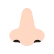 nose: medium-light skin tone Flat