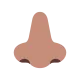 nose: medium skin tone Flat