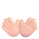 open hands: light skin tone Color