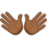 Apple Emoji iOS 14.2.
