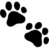 Apple Emoji iOS 10.2.
