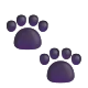 Paw Prints Color