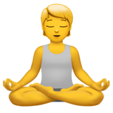 Apple Emoji iOS 13.3.