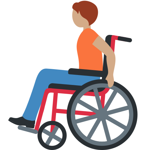 Person In Manual Wheelchair Medium Skin Tone