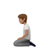 Apple Emoji iOS 14.2.