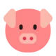 Pig Face Flat